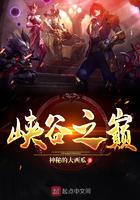 峡谷之巅段位图