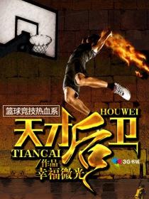 天才后卫陈锋全本