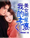我的明星老婆全文免费