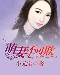 萌妻不好惹免费全文