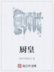 厨皇子抽油烟机官方介绍