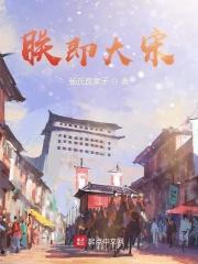 朕即大宋征服皇后