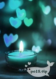 她会在我的海湾里漂流NPH-吐司柴柴-综合其它-新御书屋