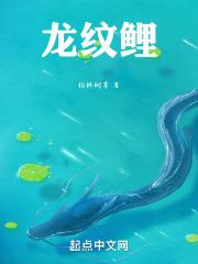 龙纹鲤超轻二代真假怎么分辨