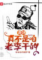 亮剑真不是咱老李干的起点