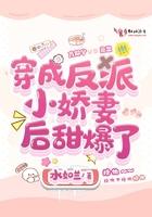 穿越成了反派的小娇妻