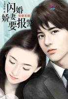 宠妻成狂闪婚总裁太霸道手机阅读_都市_999文学