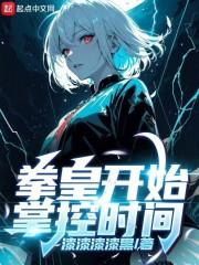 拳皇开始掌控时间TXT