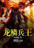 龙鳞兵王笔趣阁