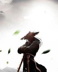 君不见魏武草创争天禄