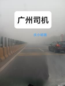 广州司机看手机