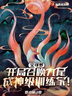 神奇宝贝之九尾系统