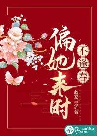 偏她来时不逢春沈辞