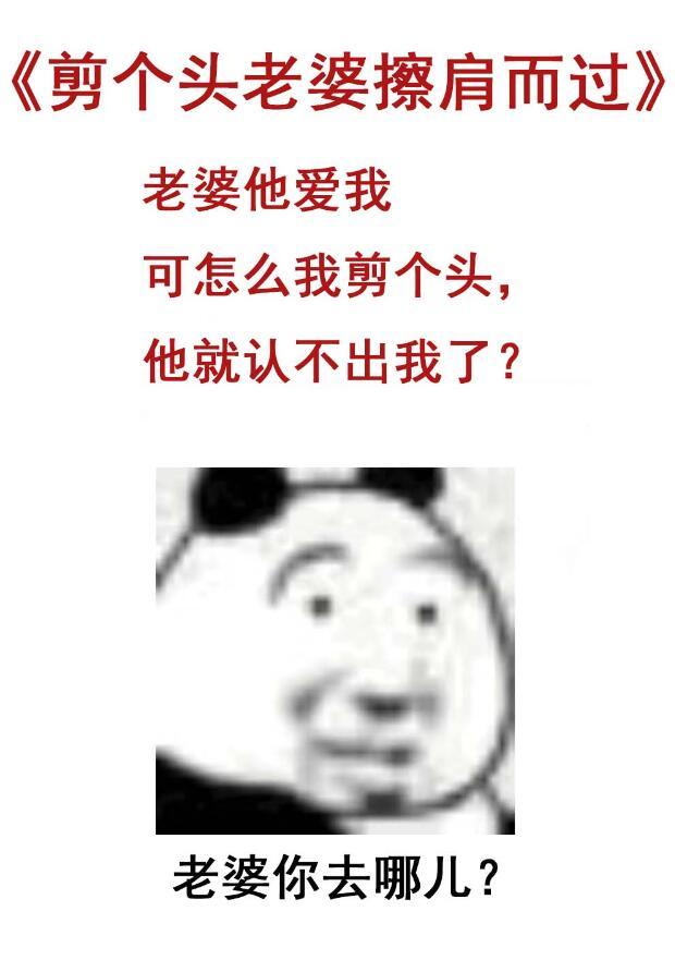 剪个头老婆擦肩而过番外