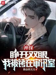 神探陈益TXT百度