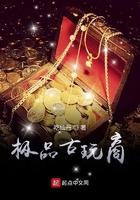极品古玩高手txt