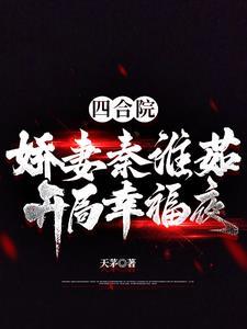 四合院娇妻秦淮茹开局幸福夜是单女主吗