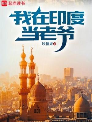 我在印度当老爷TXT全文
