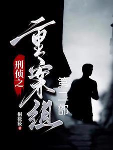 命案侦破纪实视频