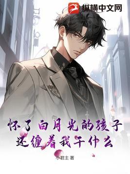 怀了白月光他弟的孩子[娱乐圈