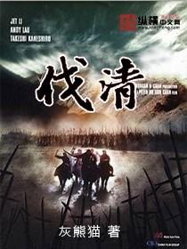 伐清从太子当流寇书评