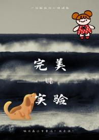完美实验海龟汤