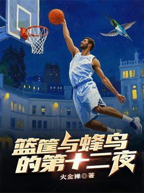 蜂鸟队篮球