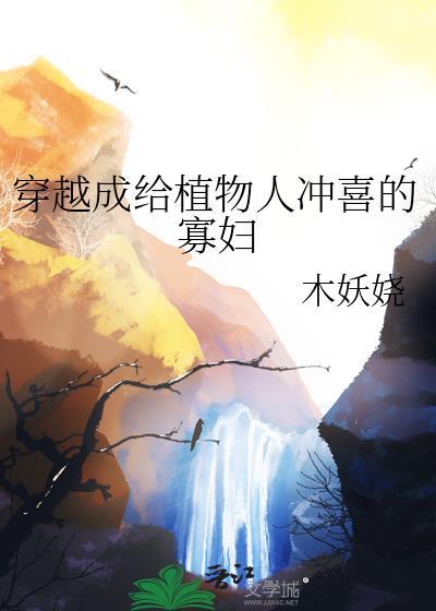 穿成植物人冲喜的寡妇小妻免费阅读