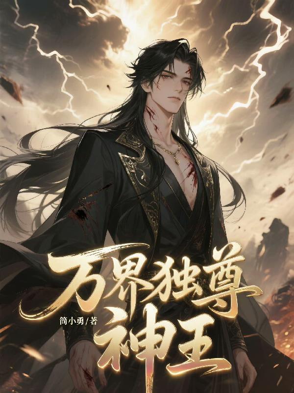 万界独尊神王境界之上