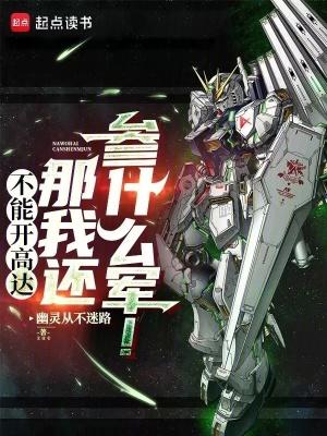 不能开高达那我还参什么军!在线阅读