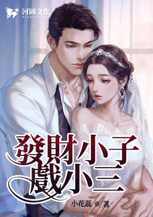 发财小子戏小三王大宝