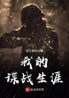 我的反间谍生涯