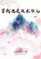 穿越也是个技术活