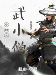 少林寺武僧是什么意思