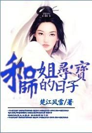 寻宝传奇多少集