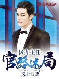 区办主任:官路迷局